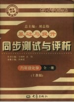 基础与提升  同步测试与评析  化学  九年级  全1册  上教版