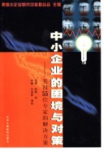 中小企业的困境与对策  美国  55  位专家的解决方案