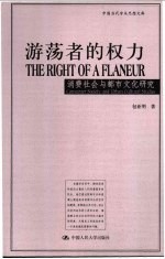 游荡者的权利  消费社会与都市文化研究