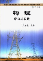 物理学习与实践  九年级  上