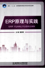 ERP原理与实践