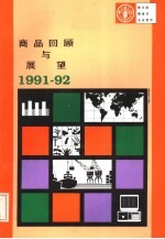 商品回顾与展望  1991-92