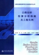 公路旧桥检算分析指南及工程实例