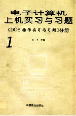 电子计算机上机实习与习题  1