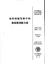 农村持续发展中的能源规划新方案