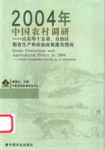 2004年中国农村调研  山东等十五省、自治区粮食生产和农业政策落实情况