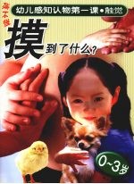 幼儿感知认物第一课  触觉  0-3岁