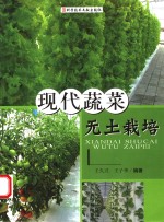 现代蔬菜无土栽培