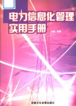 电力信息化管理实用手册  第2卷