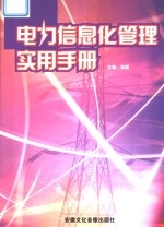 电力信息化管理实用手册  第4卷