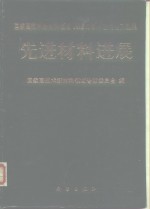 先进材料进展  国家高技术新材料领域1993年学术交流论文选集