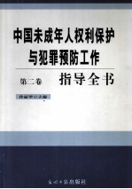 中国未成年人权利保护与犯罪预防工作指导全书  第2卷