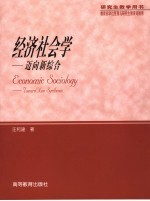 经济社会学 迈向新综合 toward new syntheses