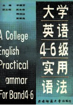 大学英语4-6级实用语法