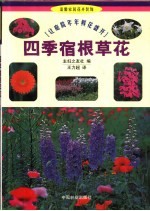 四季宿根草花  让庭院年年鲜花盛开