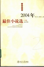 2004年最佳小说选  下  点评本