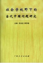 社会学视野下的当代中国问题研究