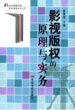 影视版权的原理与实务