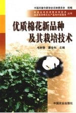 优质棉花新品种及其栽培技术