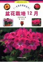 盆花栽培12月  一年四季观赏花卉