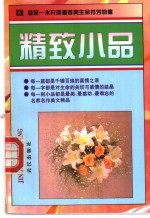 精致小品  名家雅文