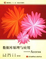 数据库原理与应用-Access