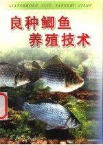 海洋科学集刊  第39集  贝类学论文专辑