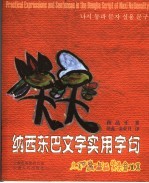 纳西东巴文字实用字句