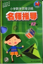 小学数学思维训练名师指导  第12册