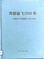 鸢都奋飞2000年  潍坊市十年规划与“八五”计划