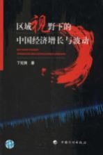 区域视野下的中国经济增长与波动