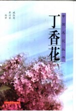 丁香花