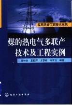 煤的热电气多联产技术及工程实例