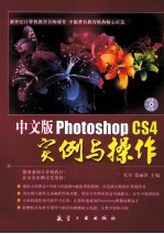 中文版Photoshop CS4实例与操作