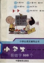 小学生易错字900个