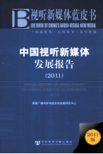 中国视听新媒体发展报告  2011