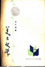 美与文学