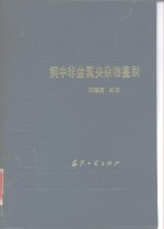 钢中非金属夹杂物鉴别