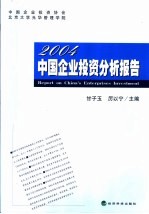 中国企业投资分析报告  2004  2004年版