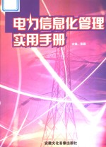 电力信息化管理实用手册  第3卷