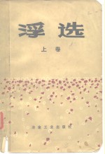 浮选 上 纪念A.M.高登文集