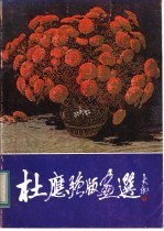 杜应强版画选