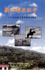 新四军在江宁  纪念抗日战争胜利60周年