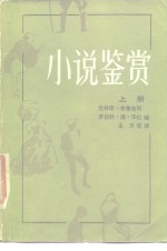 小说鉴赏  上