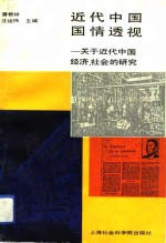 近代中国国情透视  关于近代中国经济、社会的研究