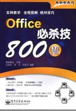 Office必杀技800招