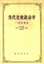 当代比较政治学  世界展望