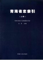 青海省志·索引  上