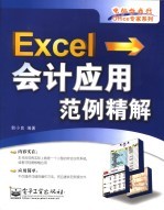 Excel会计应用范例精解