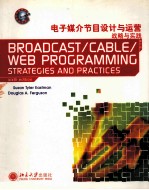 电子媒介节目设计与运营  战略与实践